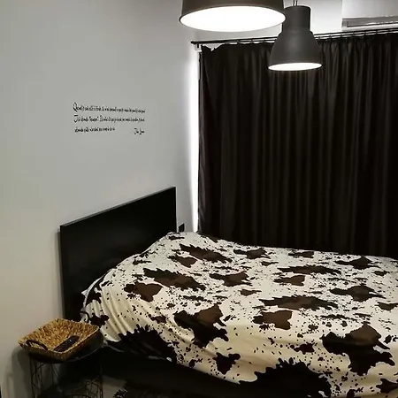 Vk 네세부르